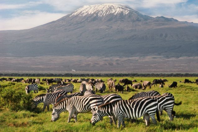 3 Days Amboseli National Park tour