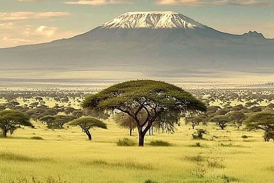 Amboseli National Park, set against the backdrop of Mount Kilimanjaro, offers iconic views and close encounters with large elephant herds, along with abundant wildlife and unique landscapes. Perfect for photographers and nature lovers! Amboseli National Park, nestled at the base of Africa’s tallest peak, Mount Kilimanjaro, is famous for its breathtaking landscapes and iconic elephant herds. This unique park offers some of the best wildlife viewing in Kenya, where elephants, lions, cheetahs, and giraffes roam freely across open plains, wetlands, and acacia woodlands. Known as the "Land of Giants," Amboseli provides spectacular photo opportunities with Kilimanjaro as a majestic backdrop. Ideal for wildlife enthusiasts and photographers, Amboseli delivers an unforgettable safari experience in one of Kenya's most scenic and cherished national parks. 