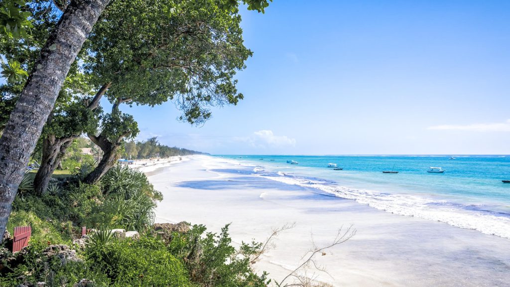 Beach Trip Ideas for Kenya – Discover Coastal Paradise with Mali Kale Safaris Kenya is world-famous for its wildlife safaris, but did you know it’s also home to some of the most beautiful beaches in Africa? Stretching over 500 kilometers along the Indian Ocean, Kenya’s coastline is a tropical paradise of white sandy beaches, crystal-clear turquoise waters, and vibrant Swahili culture. Whether you’re looking for a romantic beach getaway, a family-friendly holiday, or a bush and beach safari, Kenya’s coast has something for everyone. At Mali Kale Safaris (https://malikale.co.ke ), we curate unforgettable Kenya beach trips — combining relaxation, adventure, and cultural experiences tailored just for you. Here are the top beach trip ideas for Kenya to help you plan your next dream coastal holiday. 🏖️ 1. Diani Beach – The Jewel of Kenya’s Coast Voted multiple times as Africa’s Leading Beach Destination, Diani Beach is a must-visit paradise located about 30 kilometers south of Mombasa. Its powdery white sands, palm-fringed coastline, and luxury resorts make it the perfect destination for honeymooners and adventure seekers alike. What to do in Diani Beach: Snorkeling and Diving: Explore the colorful coral reefs and marine life at Kisite Marine Park. Kitesurfing and Jet Skiing: The calm, warm waters are ideal for water sports. Day trip to Wasini Island: Visit the island for dolphin watching and fresh seafood. Relax and unwind: Lounge on the beach or enjoy a sunset cocktail at one of Diani’s oceanfront bars. Why visit with Mali Kale Safaris: We organize complete Diani Beach holiday packages — from airport transfers to beachfront accommodation and day excursions. Whether you want a luxury resort stay or a private villa experience, Mali Kale Safaris ensures your Diani escape is seamless and memorable. 🌊 2. Watamu – The Marine Wonderland Located north of Mombasa, Watamu is a charming coastal town known for its marine parks, pristine beaches, and laid-back atmosphere. It’s perfect for travelers who want to combine relaxation with nature and marine exploration. Top experiences in Watamu: Watamu Marine National Park: Snorkel or dive among coral reefs teeming with tropical fish, turtles, and dolphins. Arabuko Sokoke Forest: Explore this indigenous forest — home to rare birds and small mammals. Bio-Ken Snake Farm: Visit to learn about reptile conservation and research. Visit Gede Ruins: A glimpse into the 13th-century Swahili civilization surrounded by tropical forest. Why Mali Kale Safaris recommends Watamu: Our Watamu beach packages combine marine adventures with eco-friendly stays. For couples, families, and nature lovers, Watamu offers a peaceful yet vibrant coastal experience.