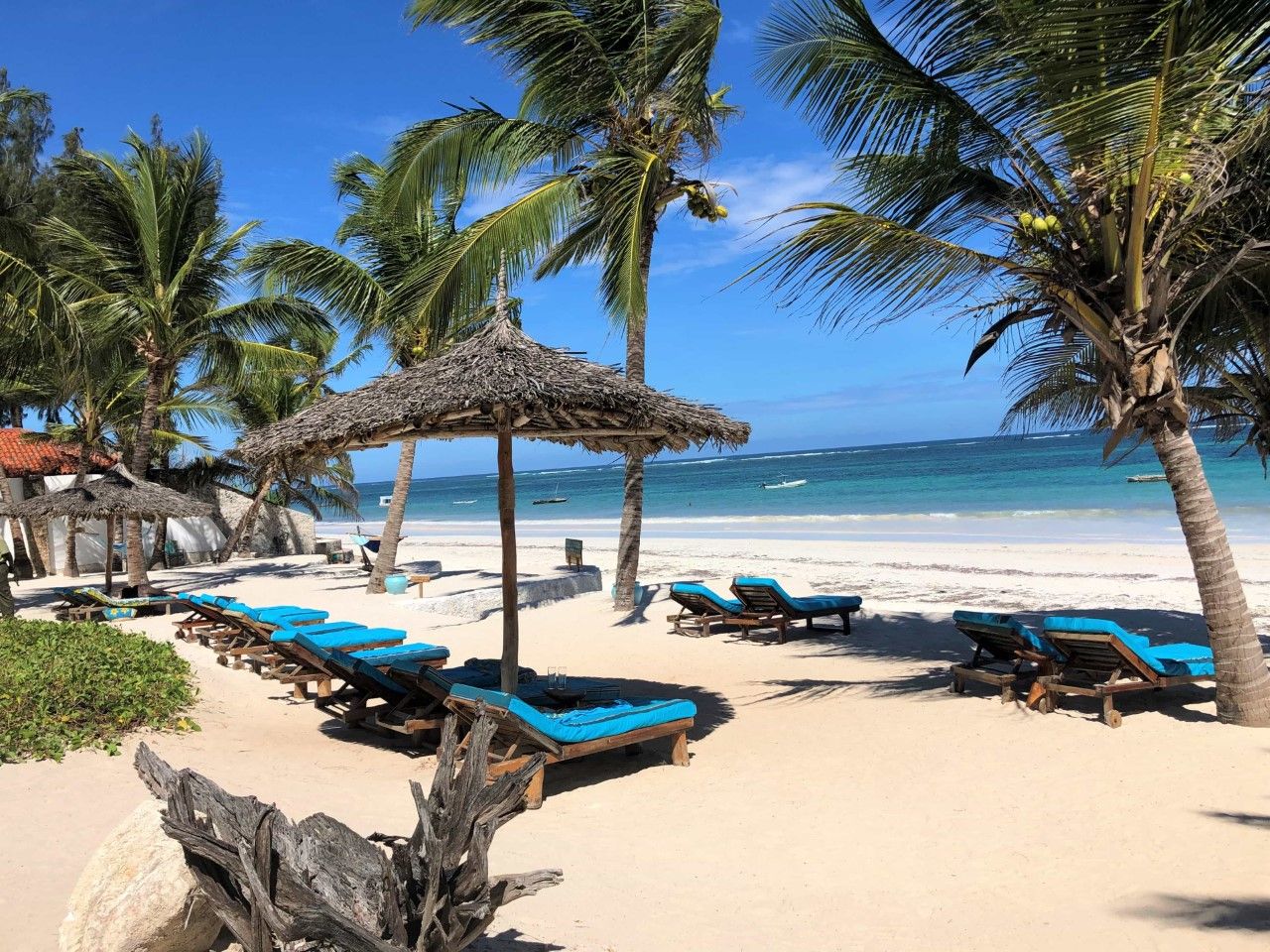 Beach Trip Ideas for Kenya – Discover Coastal Paradise with Mali Kale Safaris Kenya is world-famous for its wildlife safaris, but did you know it’s also home to some of the most beautiful beaches in Africa? Stretching over 500 kilometers along the Indian Ocean, Kenya’s coastline is a tropical paradise of white sandy beaches, crystal-clear turquoise waters, and vibrant Swahili culture. Whether you’re looking for a romantic beach getaway, a family-friendly holiday, or a bush and beach safari, Kenya’s coast has something for everyone. At Mali Kale Safaris (https://malikale.co.ke ), we curate unforgettable Kenya beach trips — combining relaxation, adventure, and cultural experiences tailored just for you. Here are the top beach trip ideas for Kenya to help you plan your next dream coastal holiday. 🏖️ 1. Diani Beach – The Jewel of Kenya’s Coast Voted multiple times as Africa’s Leading Beach Destination, Diani Beach is a must-visit paradise located about 30 kilometers south of Mombasa. Its powdery white sands, palm-fringed coastline, and luxury resorts make it the perfect destination for honeymooners and adventure seekers alike. What to do in Diani Beach: Snorkeling and Diving: Explore the colorful coral reefs and marine life at Kisite Marine Park. Kitesurfing and Jet Skiing: The calm, warm waters are ideal for water sports. Day trip to Wasini Island: Visit the island for dolphin watching and fresh seafood. Relax and unwind: Lounge on the beach or enjoy a sunset cocktail at one of Diani’s oceanfront bars. Why visit with Mali Kale Safaris: We organize complete Diani Beach holiday packages — from airport transfers to beachfront accommodation and day excursions. Whether you want a luxury resort stay or a private villa experience, Mali Kale Safaris ensures your Diani escape is seamless and memorable. 🌊 2. Watamu – The Marine Wonderland Located north of Mombasa, Watamu is a charming coastal town known for its marine parks, pristine beaches, and laid-back atmosphere. It’s perfect for travelers who want to combine relaxation with nature and marine exploration. Top experiences in Watamu: Watamu Marine National Park: Snorkel or dive among coral reefs teeming with tropical fish, turtles, and dolphins. Arabuko Sokoke Forest: Explore this indigenous forest — home to rare birds and small mammals. Bio-Ken Snake Farm: Visit to learn about reptile conservation and research. Visit Gede Ruins: A glimpse into the 13th-century Swahili civilization surrounded by tropical forest. Why Mali Kale Safaris recommends Watamu: Our Watamu beach packages combine marine adventures with eco-friendly stays. For couples, families, and nature lovers, Watamu offers a peaceful yet vibrant coastal experience.