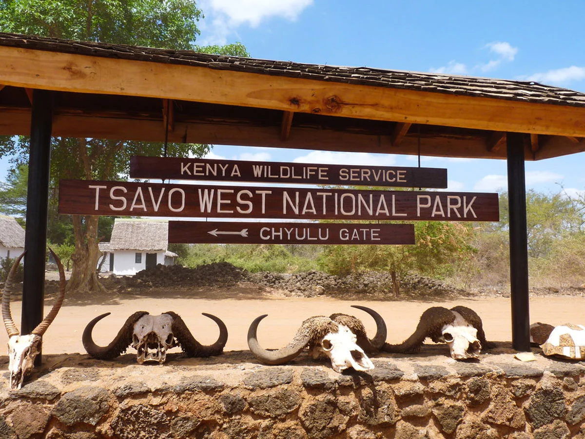 Tsavo, Kenya’s largest national park, offers stunning landscapes, red-elephant herds, and diverse wildlife in a rugged, untamed wilderness. Tsavo is one of Kenya’s premier safari destinations and the largest national park, split into Tsavo East and Tsavo West. Known for its striking red soil and iconic “red elephants” that bathe in the dust, Tsavo offers an unforgettable, raw wilderness experience. The vast, diverse terrain ranges from semi-arid plains to volcanic hills, rivers, waterfalls, and lush oases, creating habitats for abundant wildlife, including lions, leopards, cheetahs, rhinos, and giraffes. Tsavo East is celebrated for its wide open spaces and spectacular sightings of large elephant herds against the dramatic landscapes. Visitors often explore the Yatta Plateau, one of the world's longest lava flows, and Lugard Falls, a stunning cascade along the Galana River. Tsavo West, on the other hand, is renowned for Mzima Springs, where crystal-clear waters support hippos and crocodiles in an idyllic setting. The park also boasts Ngulia Rhino Sanctuary, a vital refuge for endangered black rhinos, and offers incredible vistas of Mount Kilimanjaro on clear days. For those seeking both adventure and solitude, Tsavo provides an immersive safari experience in an untamed, beautiful wilderness. From game drives and nature walks to bird watching and guided tours of cultural sites, Tsavo is a place of awe-inspiring landscapes, rare wildlife encounters, and unforgettable moments in Kenya’s great outdoors.