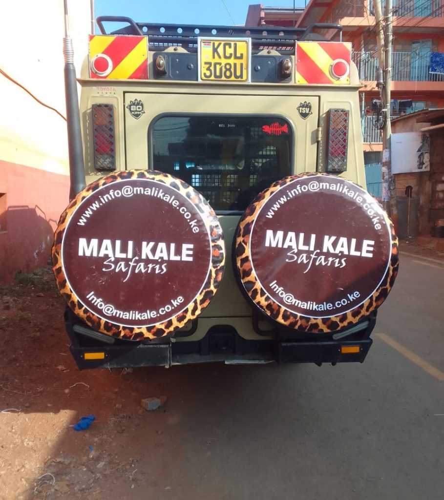 Mali Kale Safaris – Leading Tours and Travel Agency in Kenya Mali Kale Safaris is a premier tours and travel company in Kenya, offering unforgettable safaris and adventure experiences across East Africa. Based in Nairobi, Kenya, we pride ourselves on providing personalized safari packages, tailor-made tours, and exclusive travel itineraries that showcase the breathtaking beauty, rich cultures, and diverse wildlife of our region.