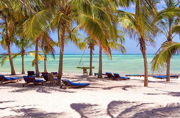 Kenya’s Coast offers idyllic beaches, crystal-clear waters, and rich Swahili culture. From the vibrant city of Mombasa to serene islands like Lamu, it’s a paradise of sun, sea, and history waiting to be explored. Kenya’s Coast is a tropical paradise where white sandy beaches meet crystal-clear turquoise waters, backed by rich cultural heritage and vibrant Swahili traditions. Stretching from the bustling port city of Mombasa to the serene islands of Lamu and Watamu, the coast offers something for every traveler. Mombasa’s Old Town, with its narrow alleys, historic Fort Jesus, and colorful markets, provides a glimpse into the region’s diverse past shaped by Arab, Portuguese, and British influences. Beyond the cities, Kenya’s coastal waters teem with marine life, making it a top destination for snorkeling and diving, especially in protected areas like Watamu Marine Park. The palm-fringed beaches, warm waters, and colorful coral reefs are perfect for water sports, while dhow cruises and island hopping offer unique ways to explore the coastline. Diani Beach, known for its powdery sands and laid-back vibe, is a favorite among travelers looking to unwind or enjoy thrilling adventures like kite surfing and jet skiing. The coastal region is also deeply rooted in Swahili culture, where visitors can experience local cuisine, music, and traditional crafts. From exploring ancient ruins like Gede to savoring fresh seafood and spicy Swahili dishes, the Kenyan Coast is a sensory journey through history, relaxation, and adventure. Whether you’re looking to explore lively markets, relax on sun-soaked beaches, or dive into a world of marine wonders, the Kenyan Coast offers an unforgettable experience steeped in natural beauty and cultural richness.