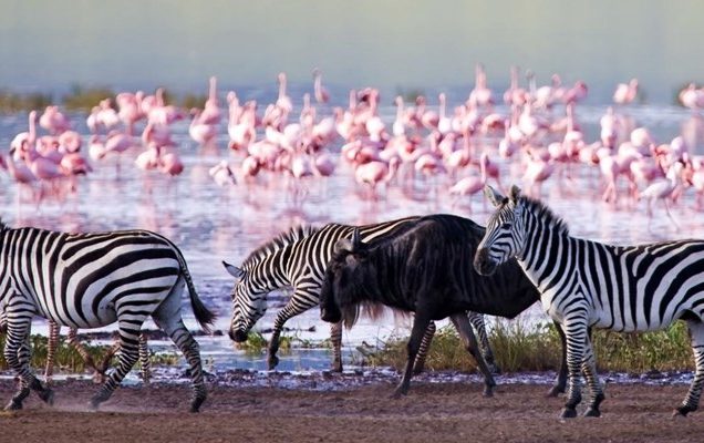 lake-nakuru-national-park-1.jpg
