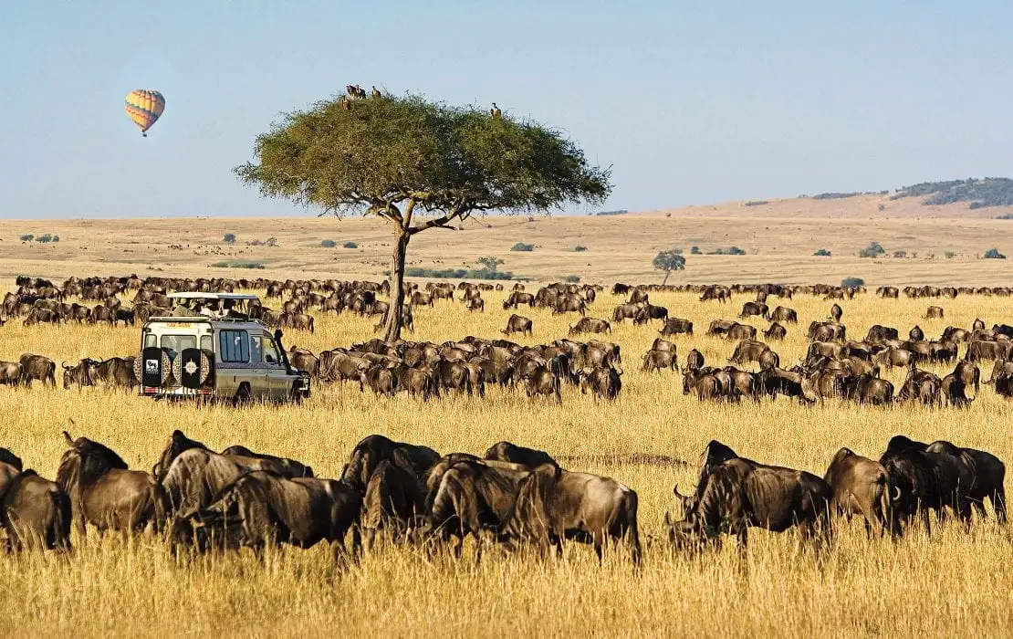 The Maasai Mara, Kenya’s premier safari destination, offers iconic wildlife encounters, the Great Migration, and breathtaking landscapes within the heart of Maasai culture.