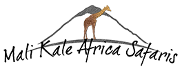 Mali Kale Tours & Safaris